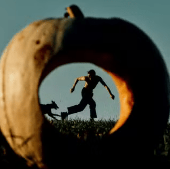 From pumpkin to zucchini, squash is winter’s culinary&nbsp;star