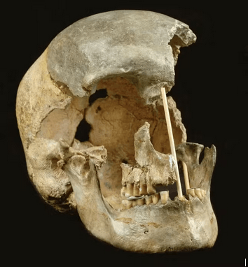 Our Neanderthal heritage dates back 45,000&nbsp;years
