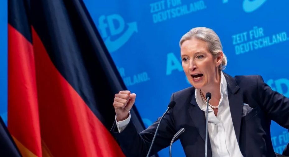 AfD embraces mass deportation of migrants as German election nears