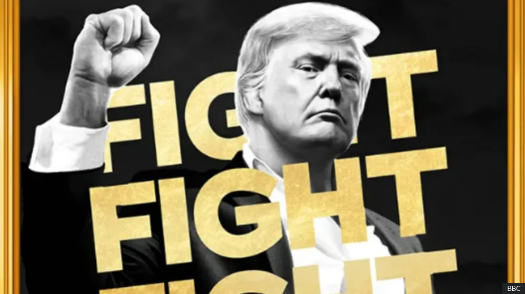 ‘A mockery’: Trump’s new meme-coin sparks anger in crypto world