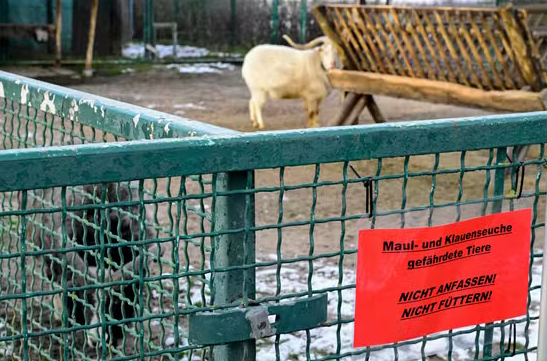 UK bans German livestock imports amid foot-and-mouth disease outbreak