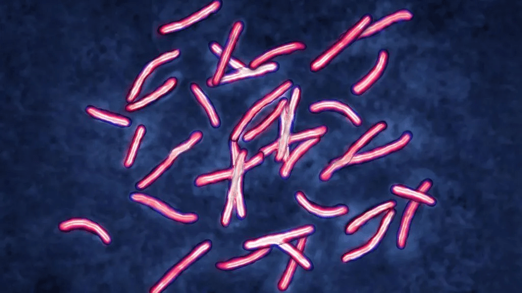 AI cracks superbug problem in two days that took scientists&nbsp;years