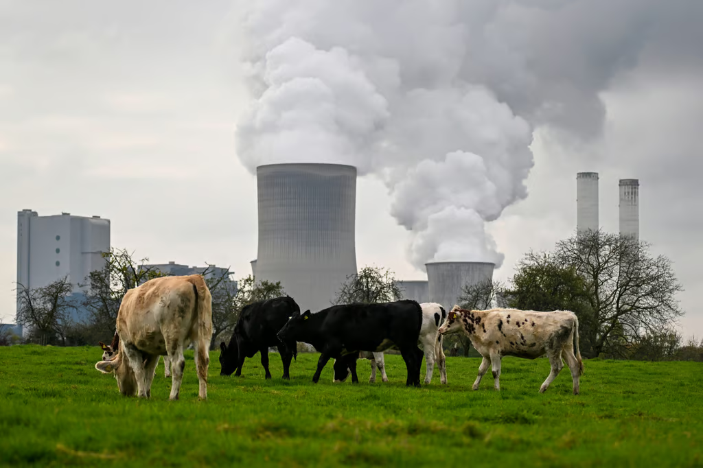 Brussels plans sweeping cuts to EU’s green rules, leaked bill reveals