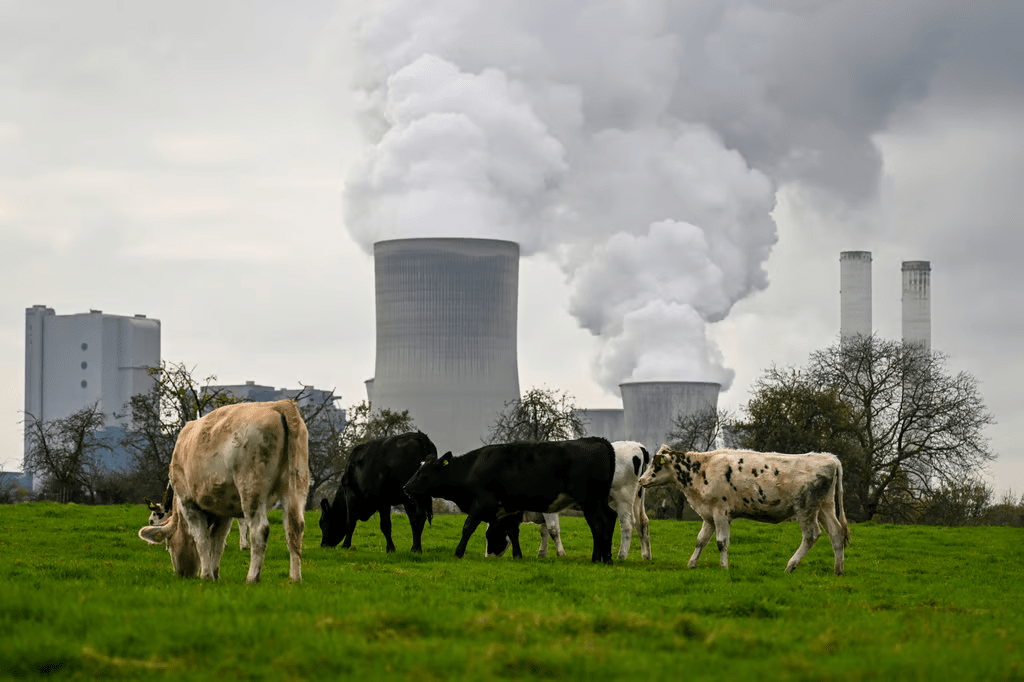 Brussels plans sweeping cuts to EU’s green rules, leaked bill&nbsp;reveals