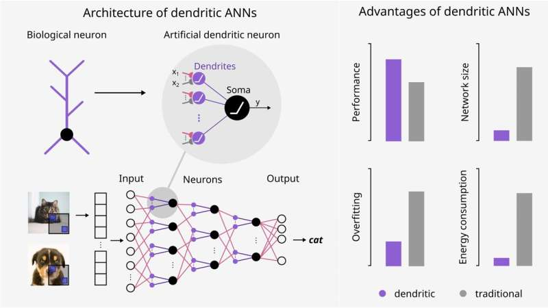 A brain-inspired AI technology boosts efficiency and reduces energy consumption