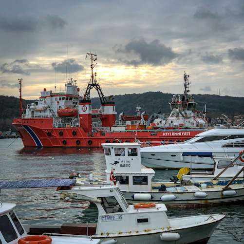 Europe’s Record-Hot Seas Redraw the Map for Fisheries and Coastal Economies