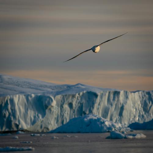 Greenland Security Deal Defuses NATO Crisis but Leaves Sovereignty Questions Unanswered