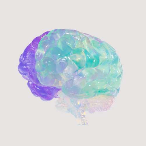 Stanford’s Xenocortical Mice Open New Window on Human Brain Disease