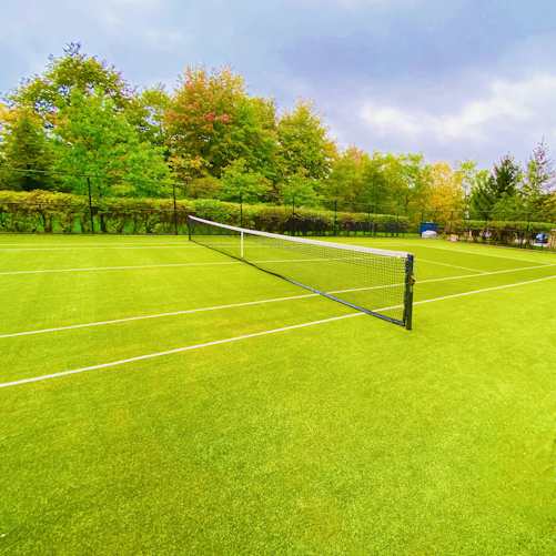 Czechia Reclaims Billie Jean King Cup as Muchova and Noskova Sweep Ukraine