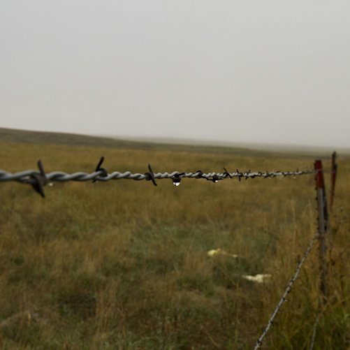 North Korea’s Border Loudspeaker Plan Turns a Mine Dispute Into an Escalation Test