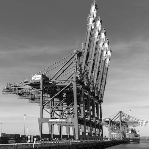 Illustrative photograph of industrial shipping cranes at a port; not a scene from the WTO announcement.