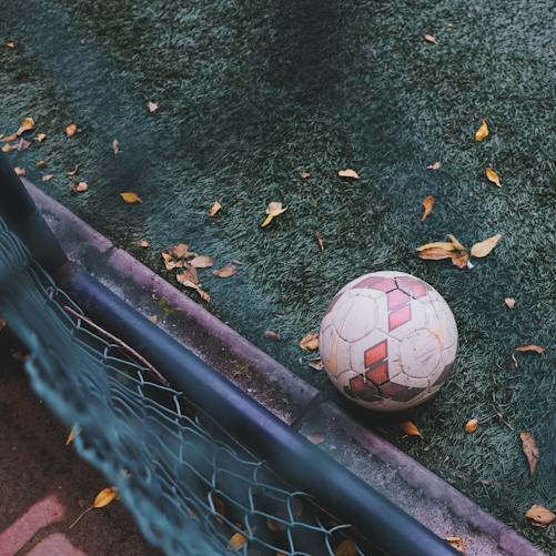 Gómez’s Long-Range Strike Crowns Brighton’s Five-Goal Derby Rout