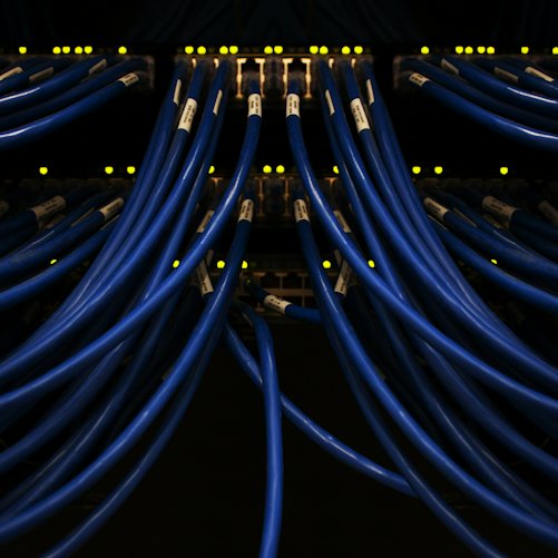 Blue network cables illustrating digital infrastructure; not a G7 exercise, a named bank's equipment or evidence of an actual cyberattack.